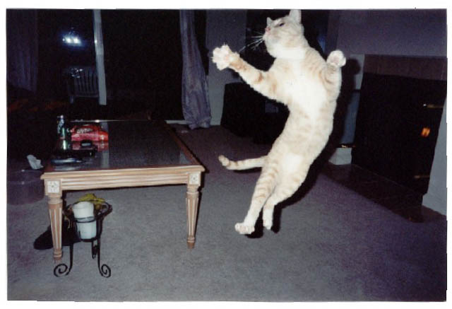 leaping