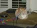 DSC00067
